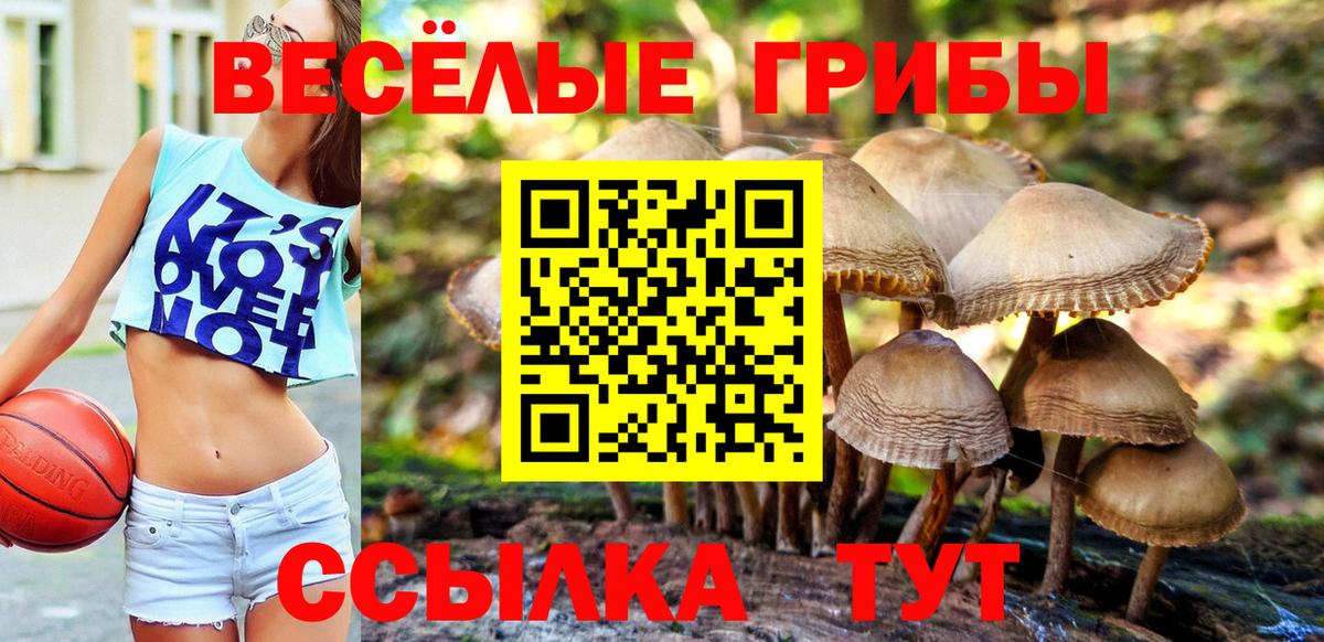Калининград  Галлюциногенные грибы Psilocybe  Галлюциногенные грибы Cubensis  Вход с VPN 