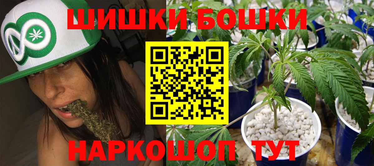 Бошки Шишки конопля Калининград